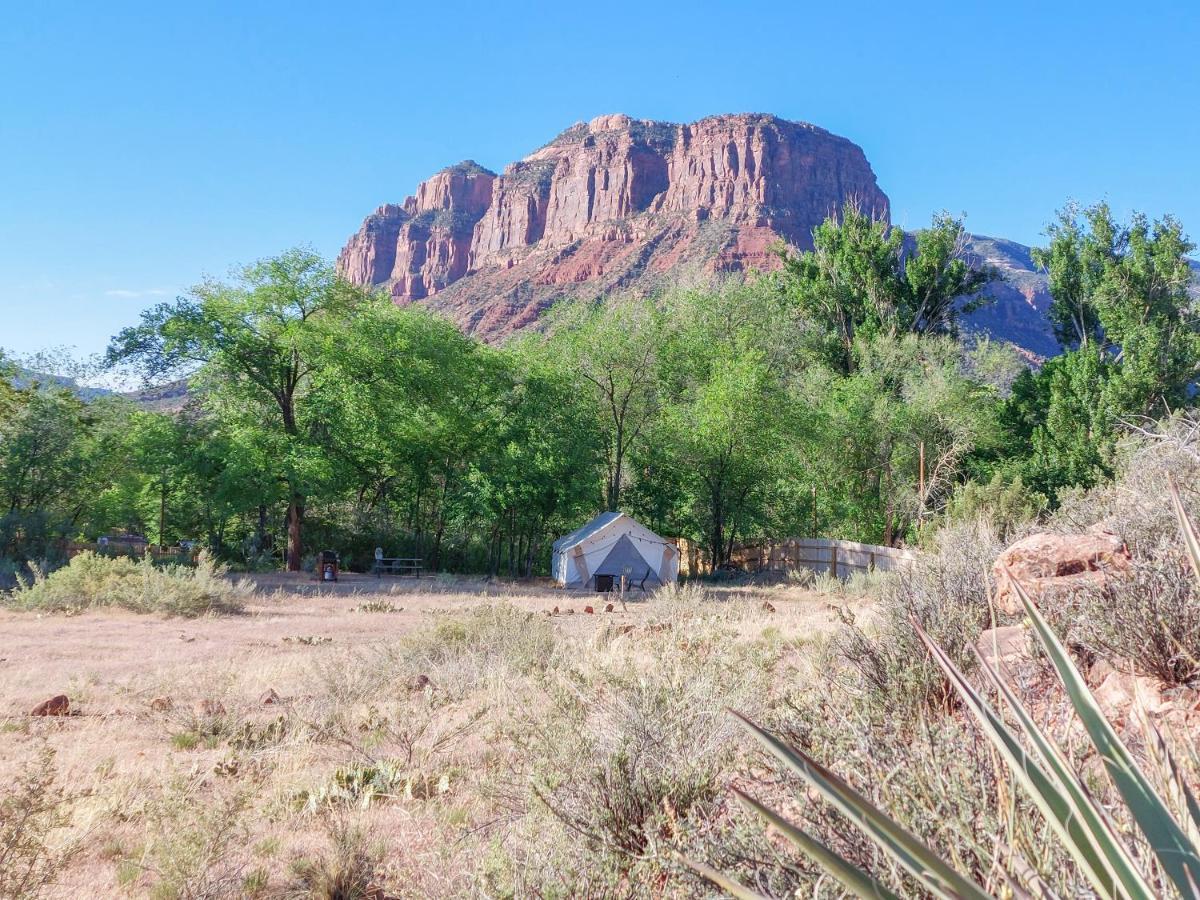Glamping Camping *